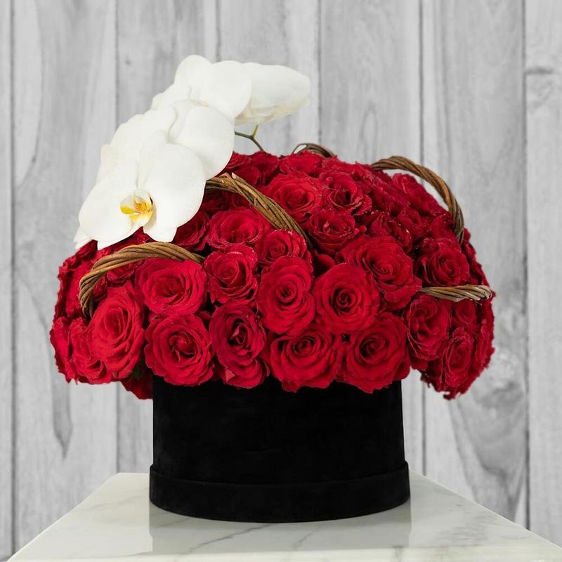 151-Premium-Red-Rose-Box-Arrangement-1 151-Premium-Red-Rose-Box-Arrangement-1